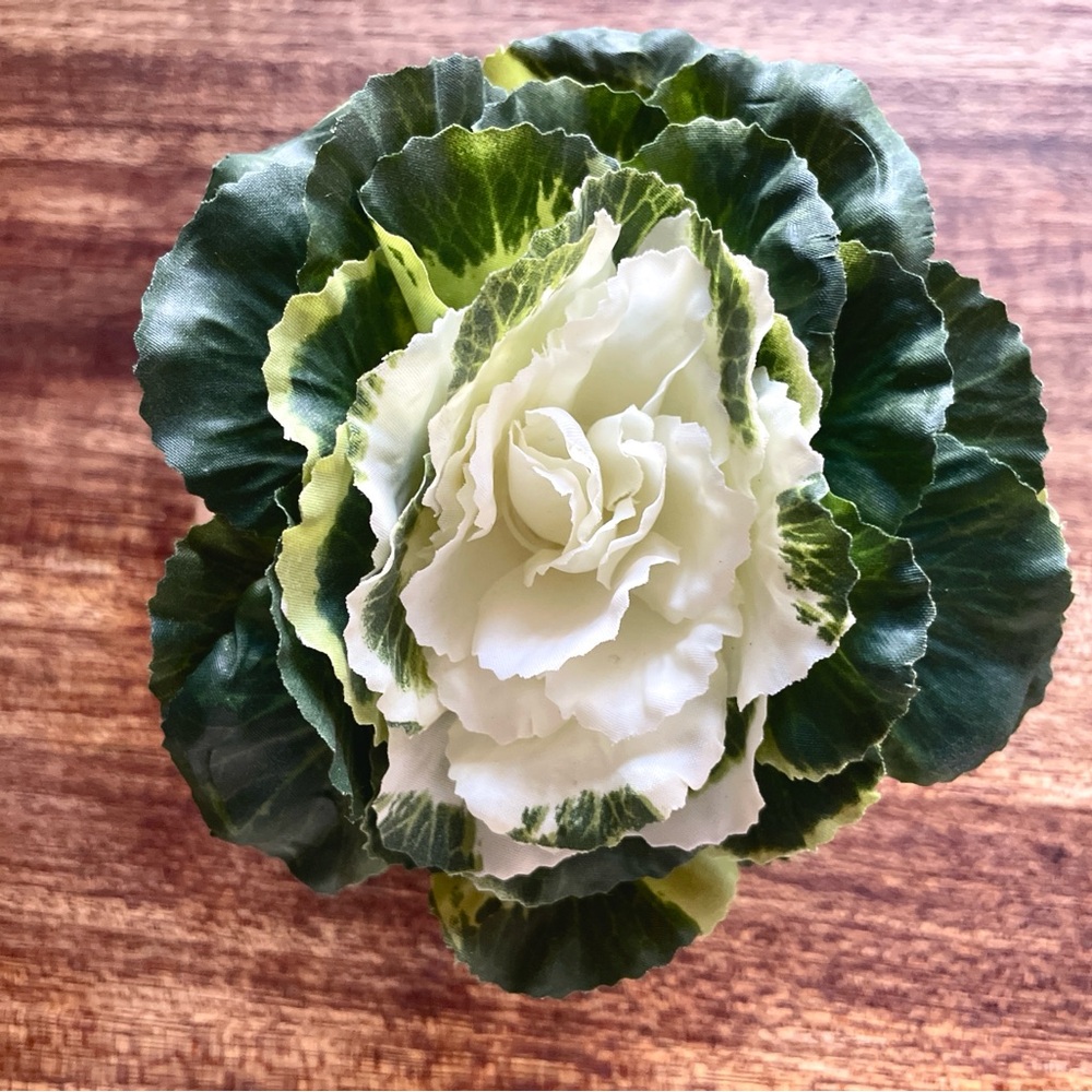 Pier 1 (4) Green and White Cabbage Napkin rings